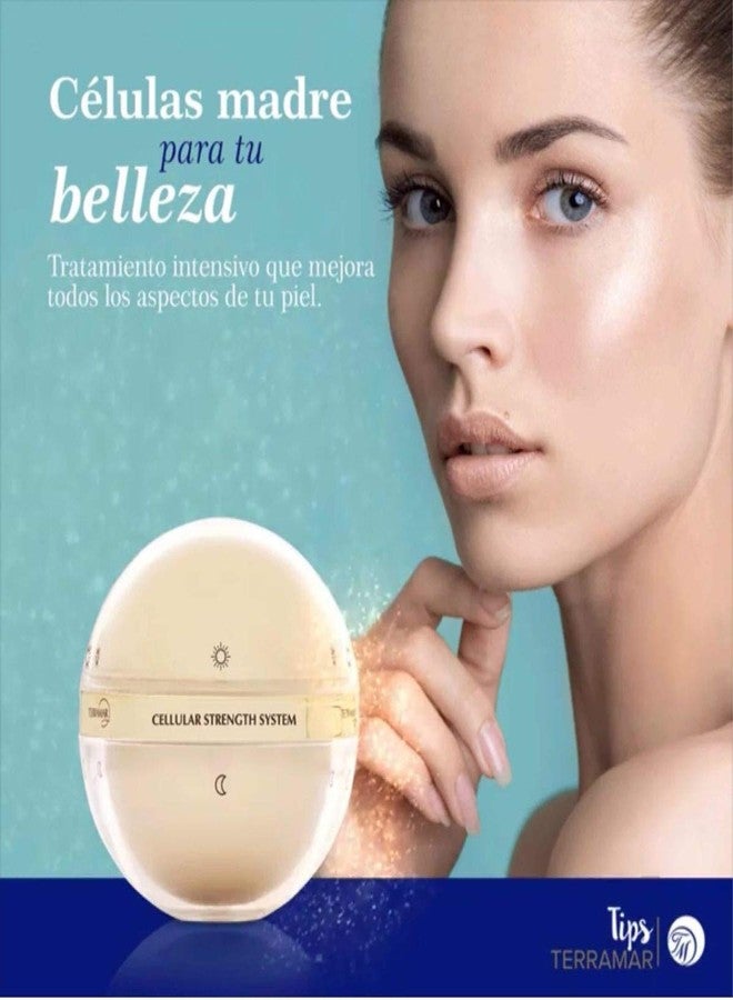 Terramar - Cellular Strength System (Day Concentrate and Night Complex) - Image 3